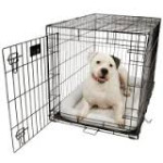 Dog Cage & Dog Pen 狗籠及圍欄